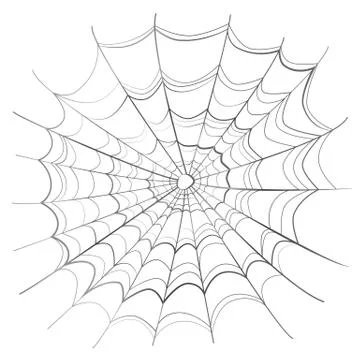 Complicated spider web on white Stock Illustration