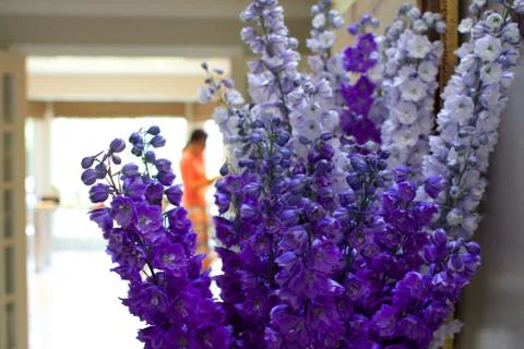 Complimentary Depth Of Field Stock Photos