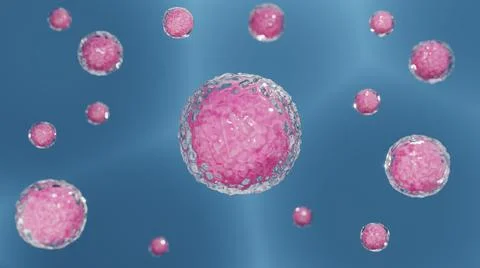 The components of a living cell, the nucleus in the plasma membrane. Stock Illustration