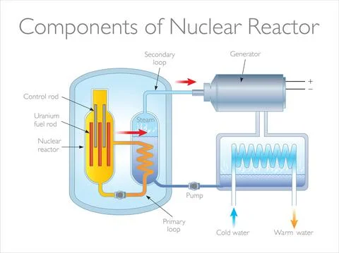 Components of Nuclear Reactor Stock Illustration