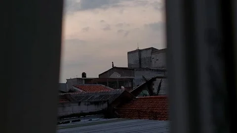 Compose video 1759564214876 Stock Footage 319521504