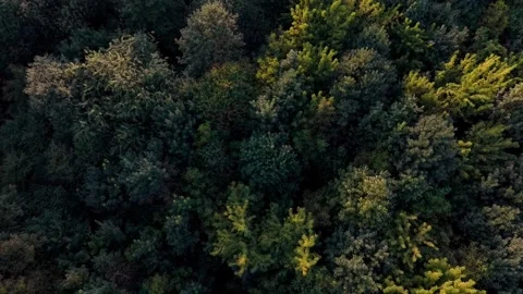 Compose video 1789763113835 Stock Footage 345846422