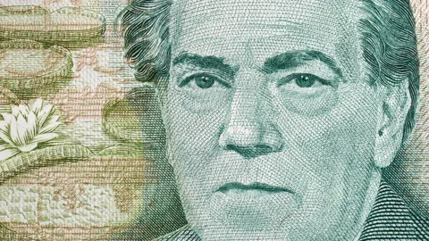Composer Heitor Villa-Lobos on Brazil vintage banknote tracking. 4K Stock Footage 148438015
