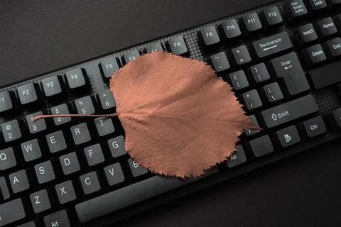 Composing New Screen Title Ideas, Typing Play Script Concepts, Creating Safe Foto stock