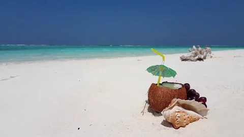 Composing picture of coconut juice, grape, seashell and withered branch Stock Footage 119574784