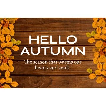 Composite of hello autumn text over autumn leaves on wooden background Ilustração Stock