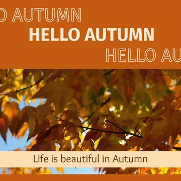 Composite of hello autumn text over autumn trees Stock Photos