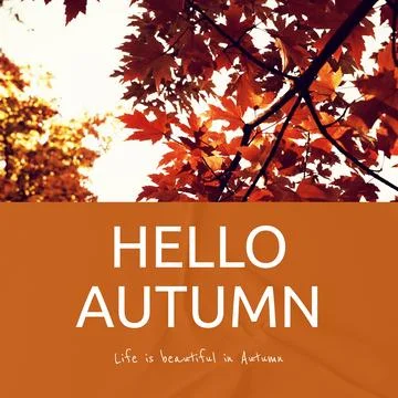 Composite of hello autumn text over autumn trees Stock Photos
