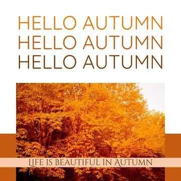 Composite of hello autumn text over autumn trees Stock Photos