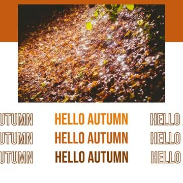 Composite of hello autumn text over autumn trees Stock Photos