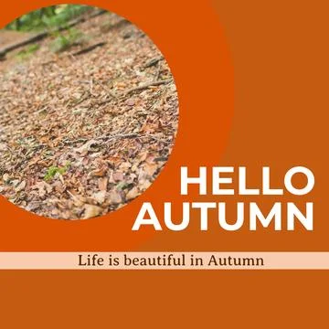 Composite of hello autumn text over autumn trees Stock Photos