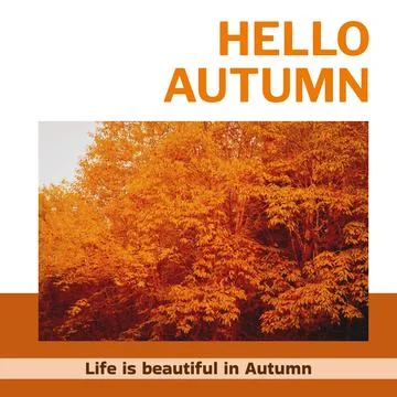 Composite of hello autumn text over autumn trees Stock Photos
