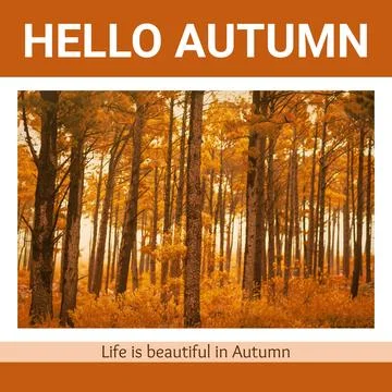 Composite of hello autumn text over autumn trees Stock Photos