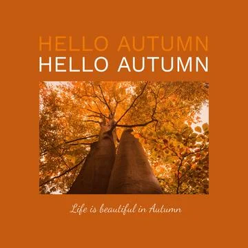 Composite of hello autumn text over autumn trees Stock Photos