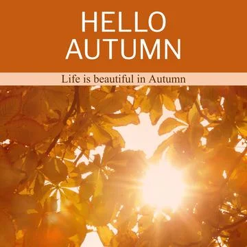 Composite of hello autumn text over autumn trees Stock Photos