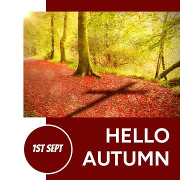 Composite of hello autumn text over autumn trees Stock Photos