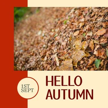 Composite of hello autumn text over autumn leaves Stock Photos
