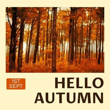 Composite of hello autumn text over autumn trees Stock Photos