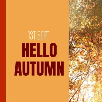 Composite of hello autumn text over autumn trees Stock Photos