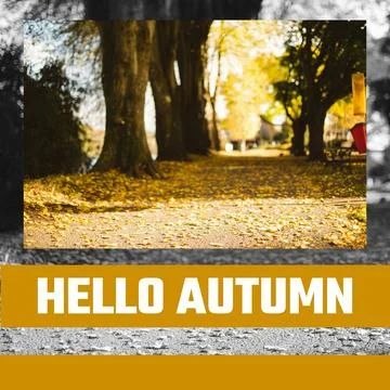 Composite of hello autumn text over autumn trees Stock Photos