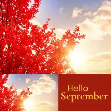 Composite of hello september text over autumn tree in garden Ilustração Stock