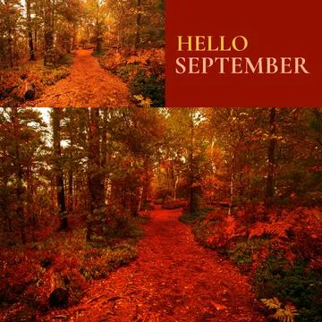 Composite of hello september text over autumn trees Fotos Stock