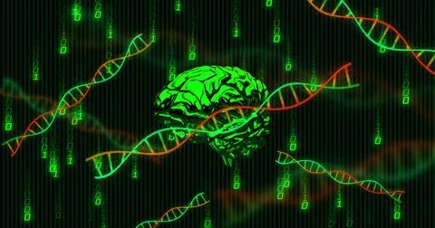 Composite of human brain, dna strands, binary coding and data processing イラスト素材