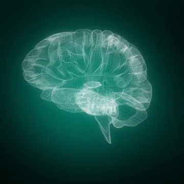 Composite image of 3d illustration of human brain 스톡 일러스트