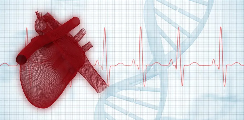 Composite image of 3d image of human heart Stock Photos