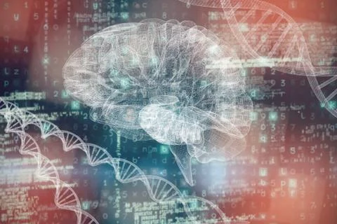 Composite image of 3d image of human brain Stock Photos