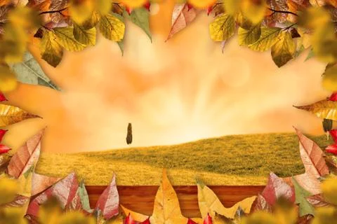 Composite image of autumn leaves pattern 스톡 사진