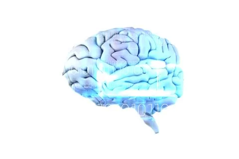 Composite image of brain Stock Illustration