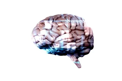 Composite image of brain Stock Illustration