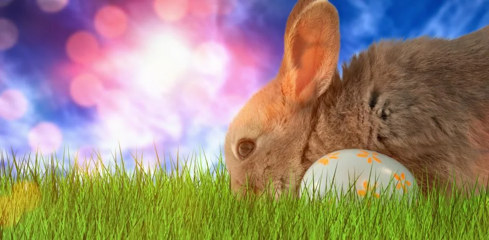 Composite image of bunny with floral pattern easter egg Stock Photos