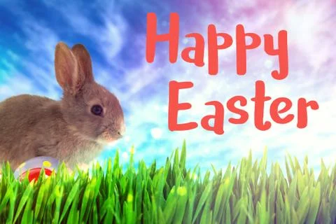 Composite image of bunny with polka dot easter eggs 스톡 사진