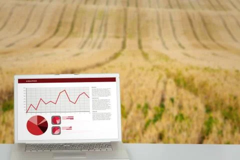 Composite image of business interface with graphs and data Stock Illustration