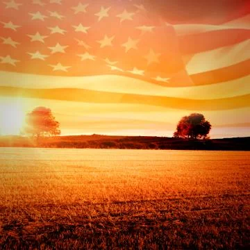 Composite image of digitally generated american flag rippling Stock Illustration