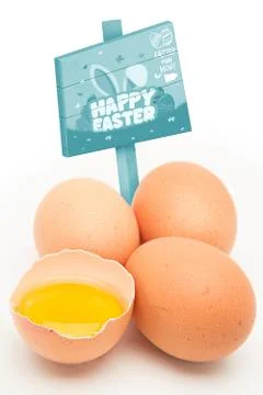 Composite image of easter egg hunt sign Illustrazione stock