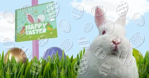Composite image of easter eggs icons against easter bunny, green grass and Stock Photos