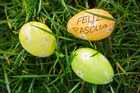 Composite image of feliz pasqua Stock Illustration
