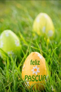 Composite image of feliz pasqua Stock Illustration