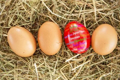 Composite image of happy easter in different languages Stock Illustration