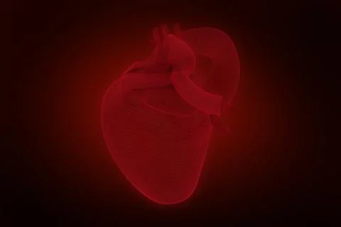 Composite image of vector image of 3d human heart Stock Illustration