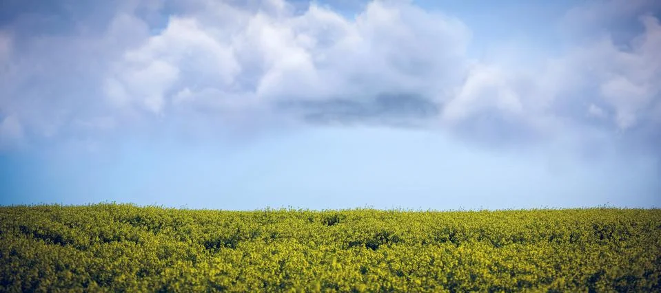 Composite image of vector image of cloud Stock Photos