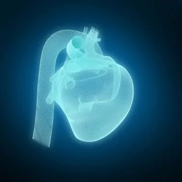 Composite image of vector image ofÂ 3d human heart Foto stock