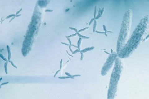 Composite image of view of a chromosome Stock Illustration