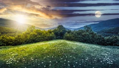 Composite landscape with forest  in mountains 스톡 사진