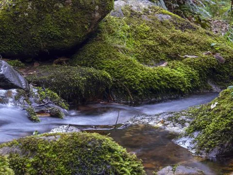 Composite of multiple long-exposure images of the stream of a brook with rock Stock Photos
