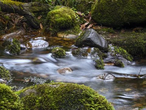 Composite of multiple long-exposure images of the stream of a brook with rock Stock-Fotos