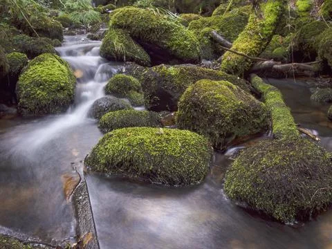 Composite of multiple long-exposure images of the stream of a brook with rock Stock Photos
